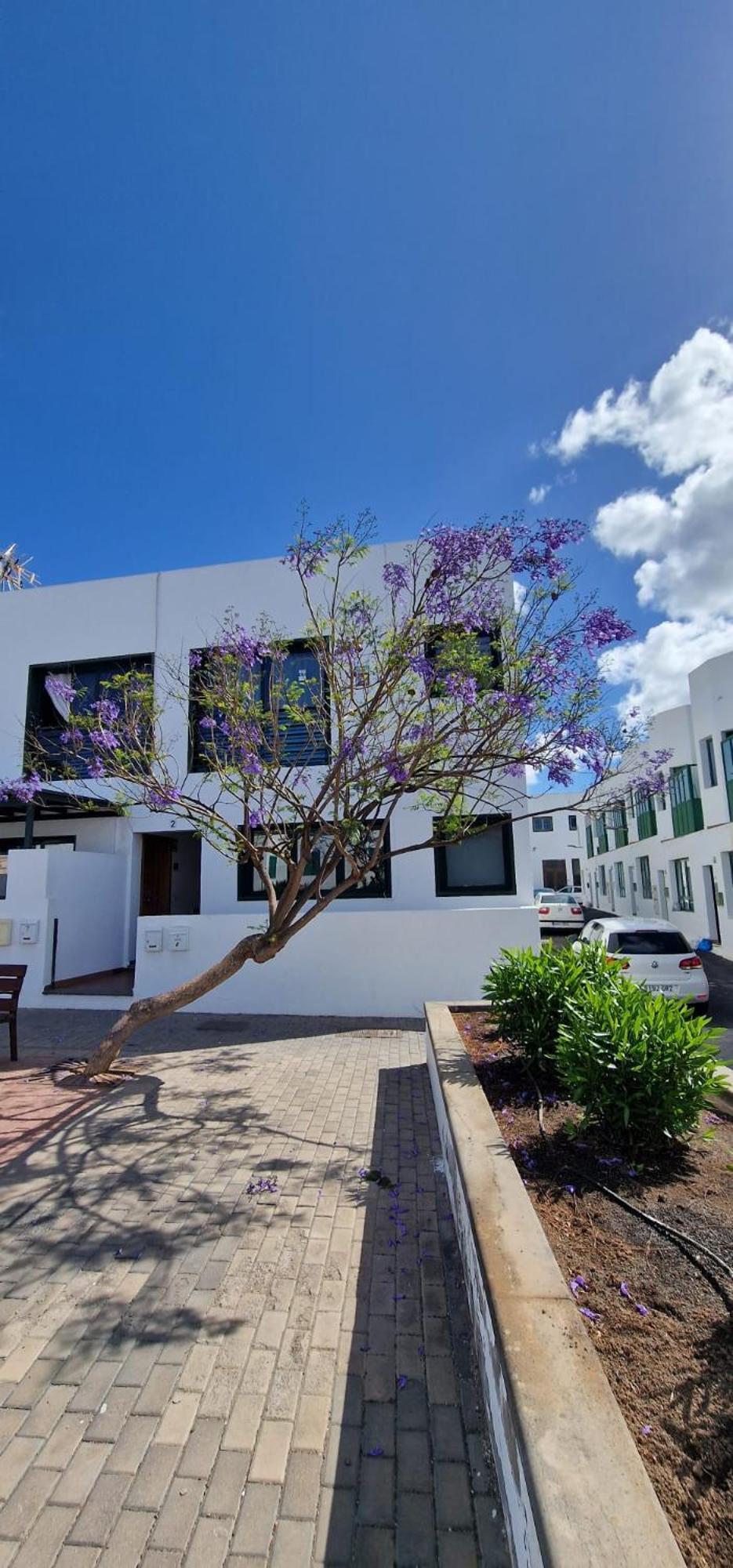 Apartamento Margarita بلايا بلانكا المظهر الخارجي الصورة