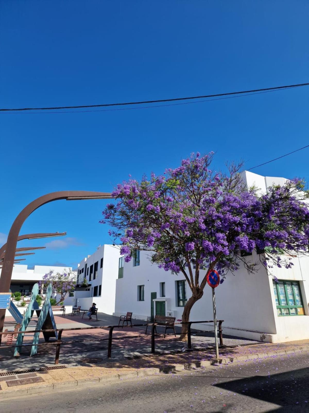 Apartamento Margarita بلايا بلانكا المظهر الخارجي الصورة