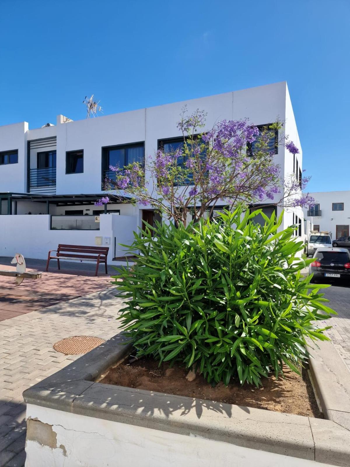 Apartamento Margarita بلايا بلانكا المظهر الخارجي الصورة